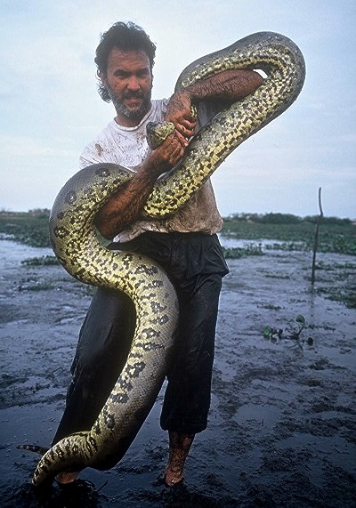 giant killer snakes